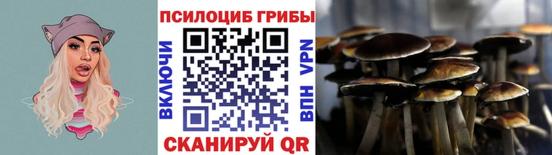 цена   Сорск  Псилоцибиновые грибы прущие грибы 